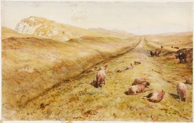 Cawfields de Henry Burdon Richardson